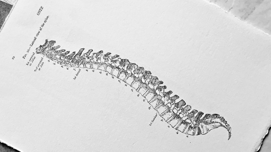 Mount Wilson Brain And Spine Injury Attorney thumbnail