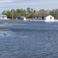 2011 Manitoba Flood 6