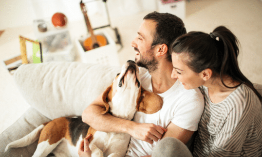 A man and woman petting their pet dog on the couch.