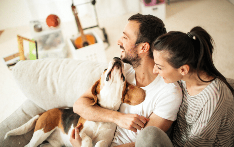 A man and woman petting their pet dog on the couch.