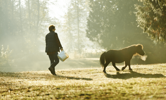 A woman feeds her pony outside on the farm.