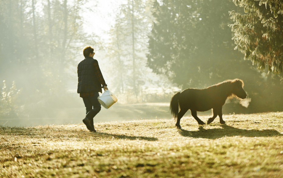 A woman feeds her pony outside on the farm.