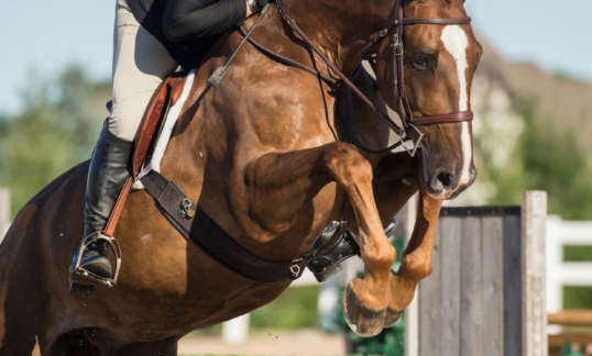 Personal Injury Lawyer Louis DelSignore riding a horse over a jump obstacle