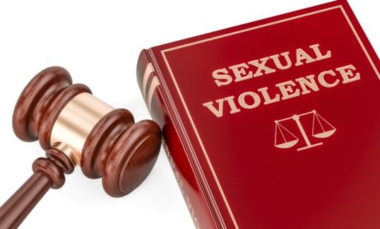 sexual violence book