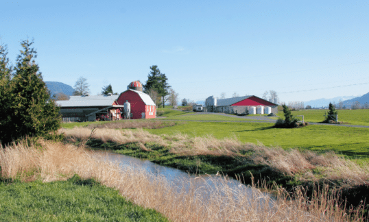 Buying Your First Farm 
